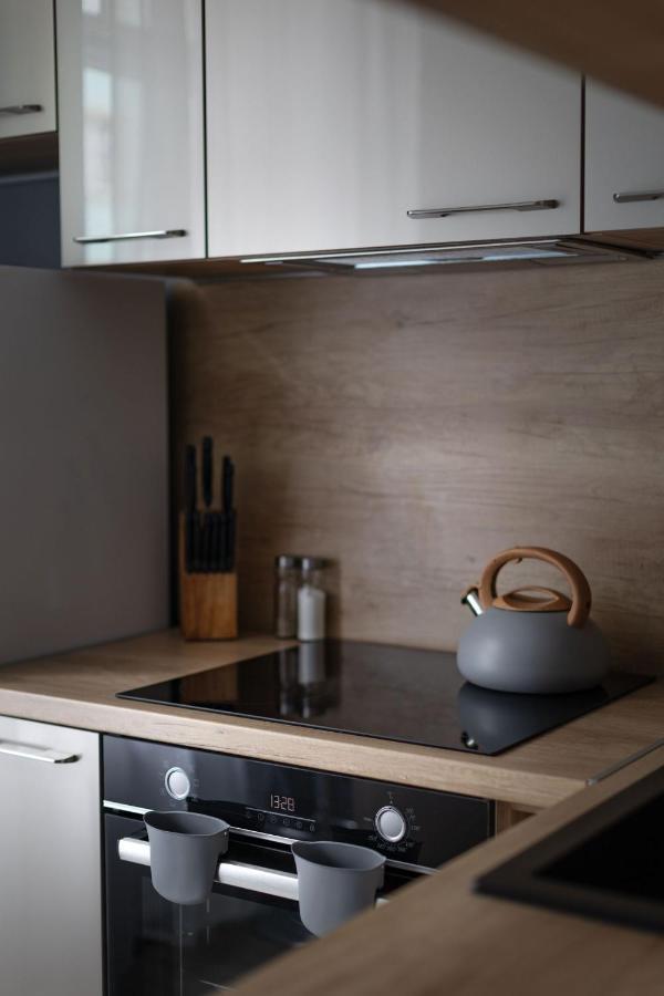 Apartament Silver دوشنيكي زدروي المظهر الخارجي الصورة